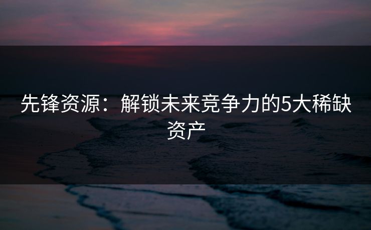 先锋资源：解锁未来竞争力的5大稀缺资产