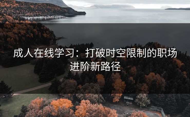 成人在线学习：打破时空限制的职场进阶新路径