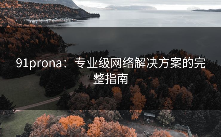 91prona：专业级网络解决方案的完整指南