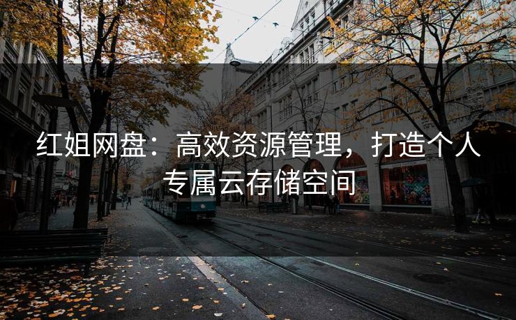 红姐网盘:高效资源管理,打造个人专属云存储空间